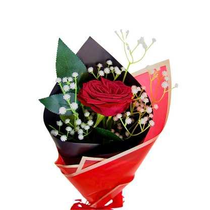 Special Gift ❤️